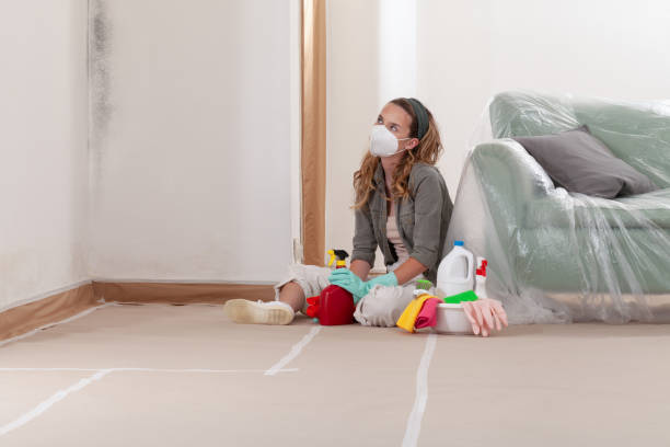 Reliable Mold Removal contractor in Hanover, MN by WQB Mold Removal